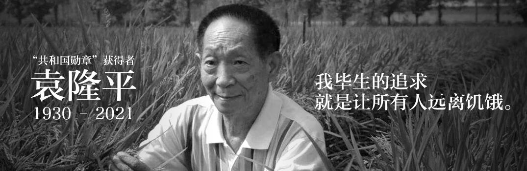 杂交水稻之父袁隆平去世